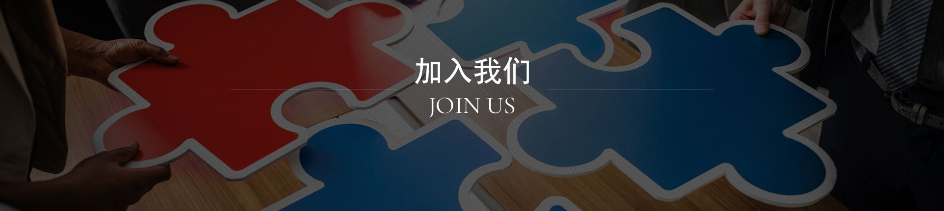 加入我们