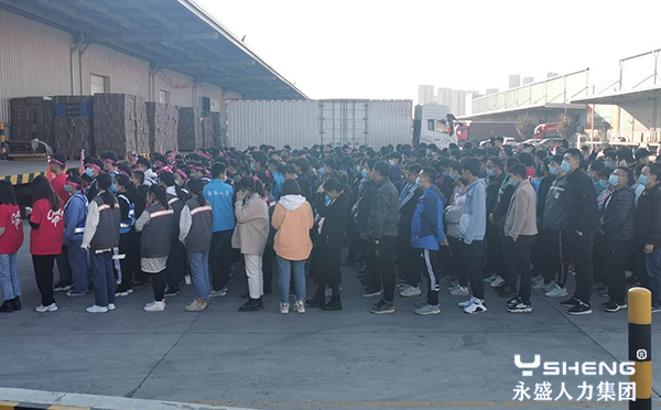 双十一大战来了