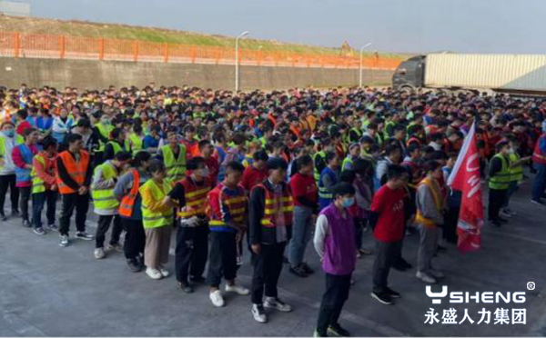 双十一大战来了